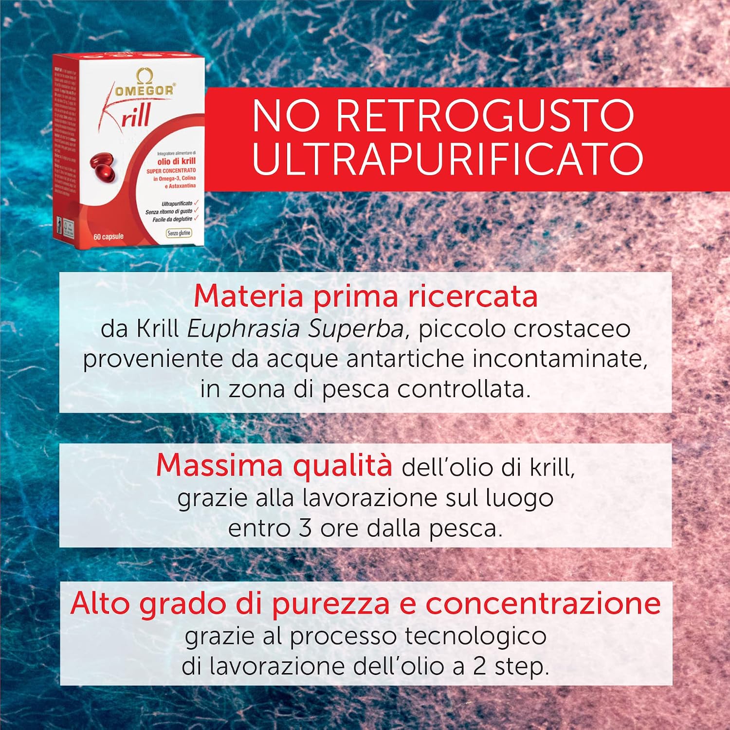 OMEGOR® Krill - 250mg di EPA e DHA, 672 mg di fosfolipidi, 82mg di colina e  100mcg di astaxantina | 60 capsule molli : Amazon.it: Salute e cura della  persona