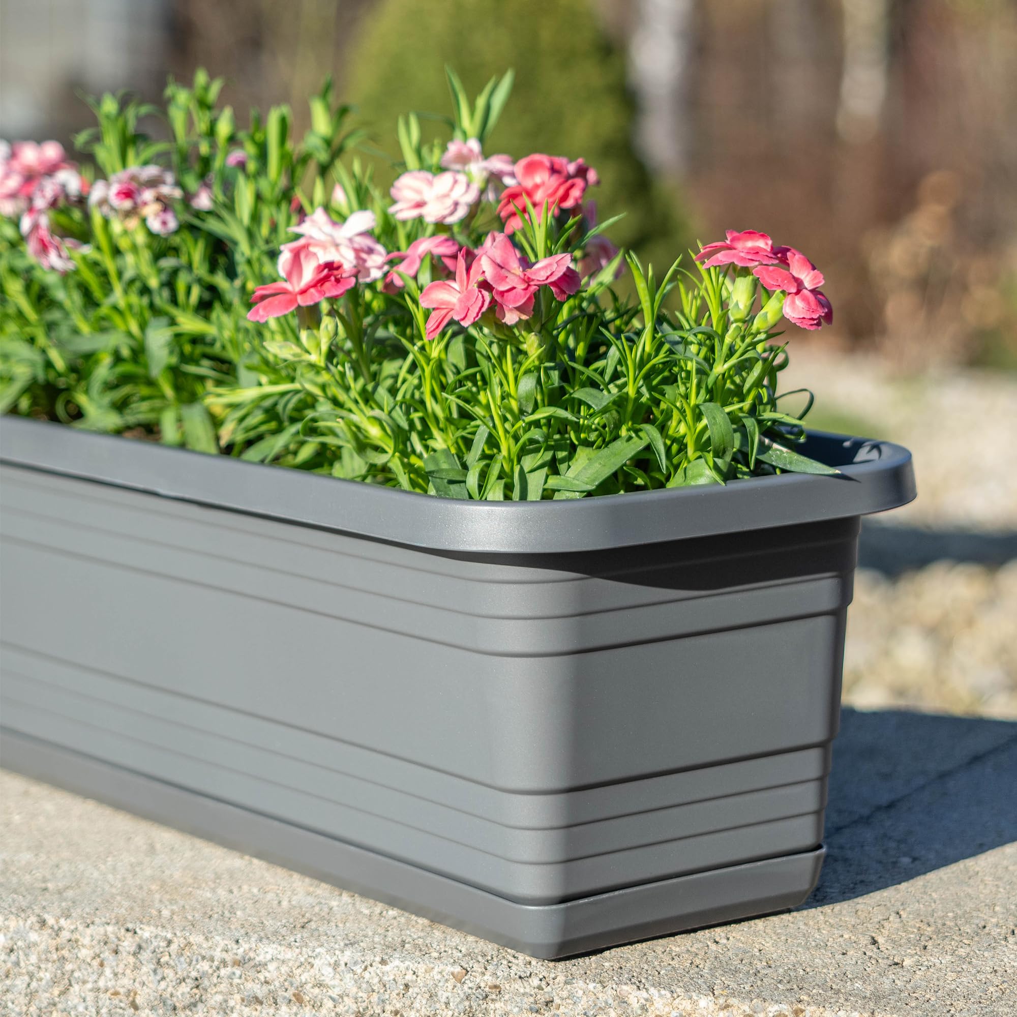 Jardinière Rectangulaire Avec Pieds - Anthracite, Plastique Robuste 37 X 17 Cm (6L) - Pour Intérieur Et Extérieur