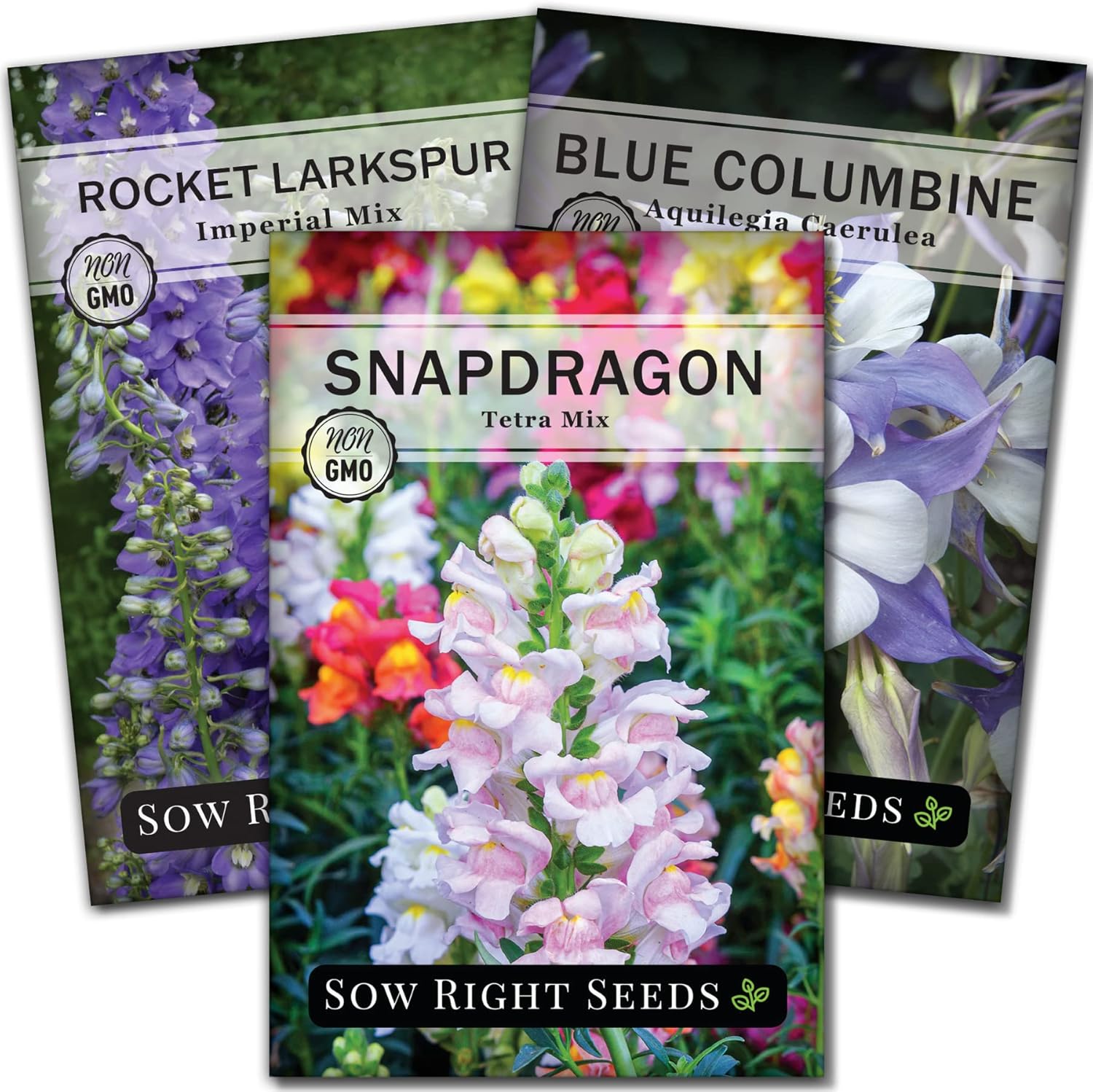 Sow Right Seeds Hummingbird Seed Collection for Planting Snapdragons, Rocket