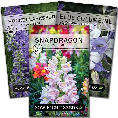 Sow Right Seeds - Colección de semillas de colibrí para plantar - Snapdragons, espolón de cohete y columbina - Semillas para atraer polinizadores -