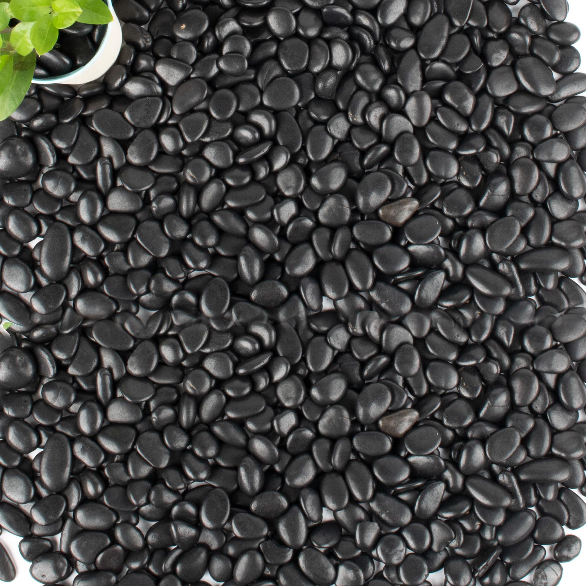 Piedras negras de 45 libras para plantas, macetas, suculentas, acuarios, peceras, jarrones decorativos para jardín, piedras de grava pulidas