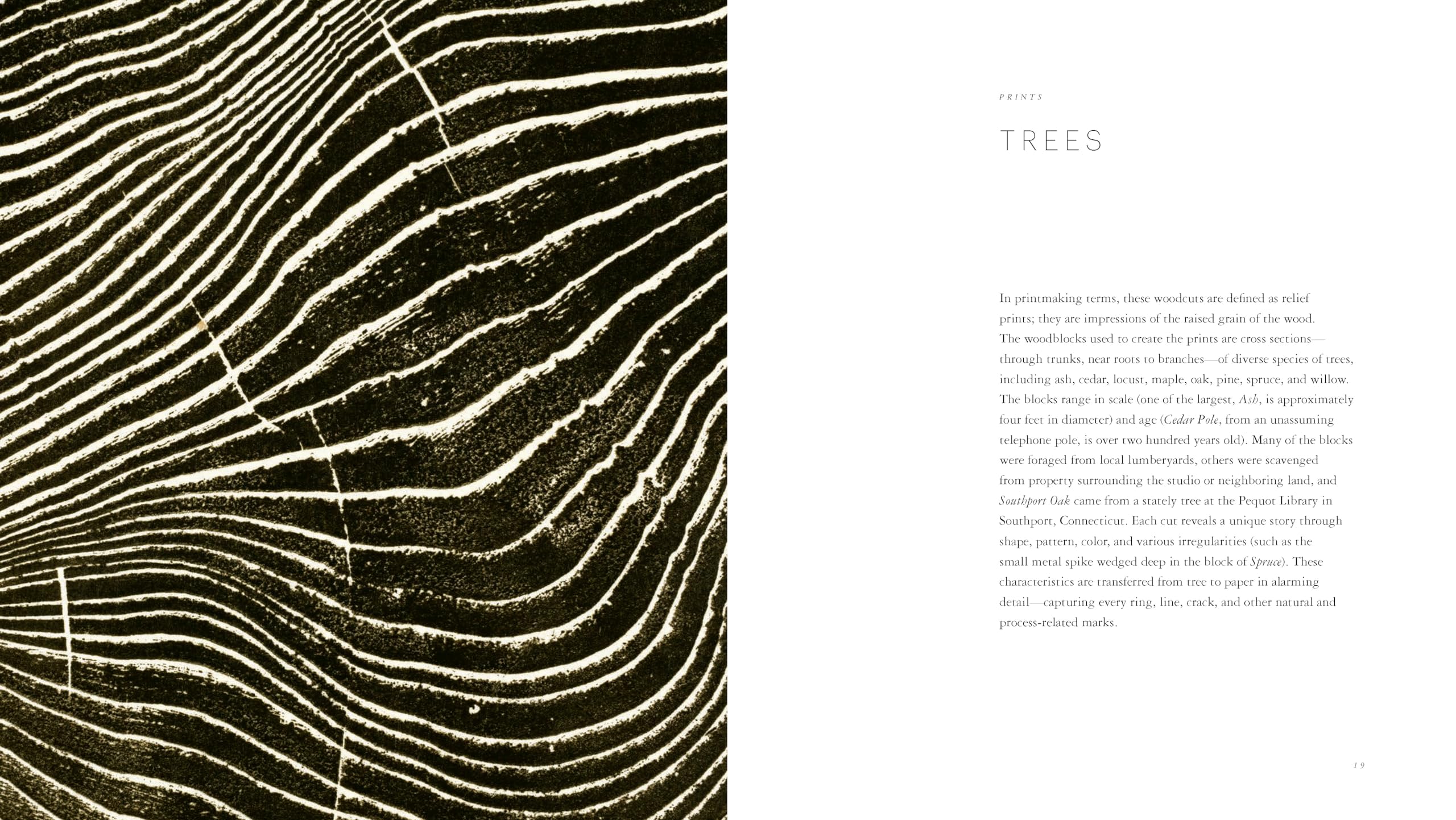 Woodcut (Updated Edition) /anglais