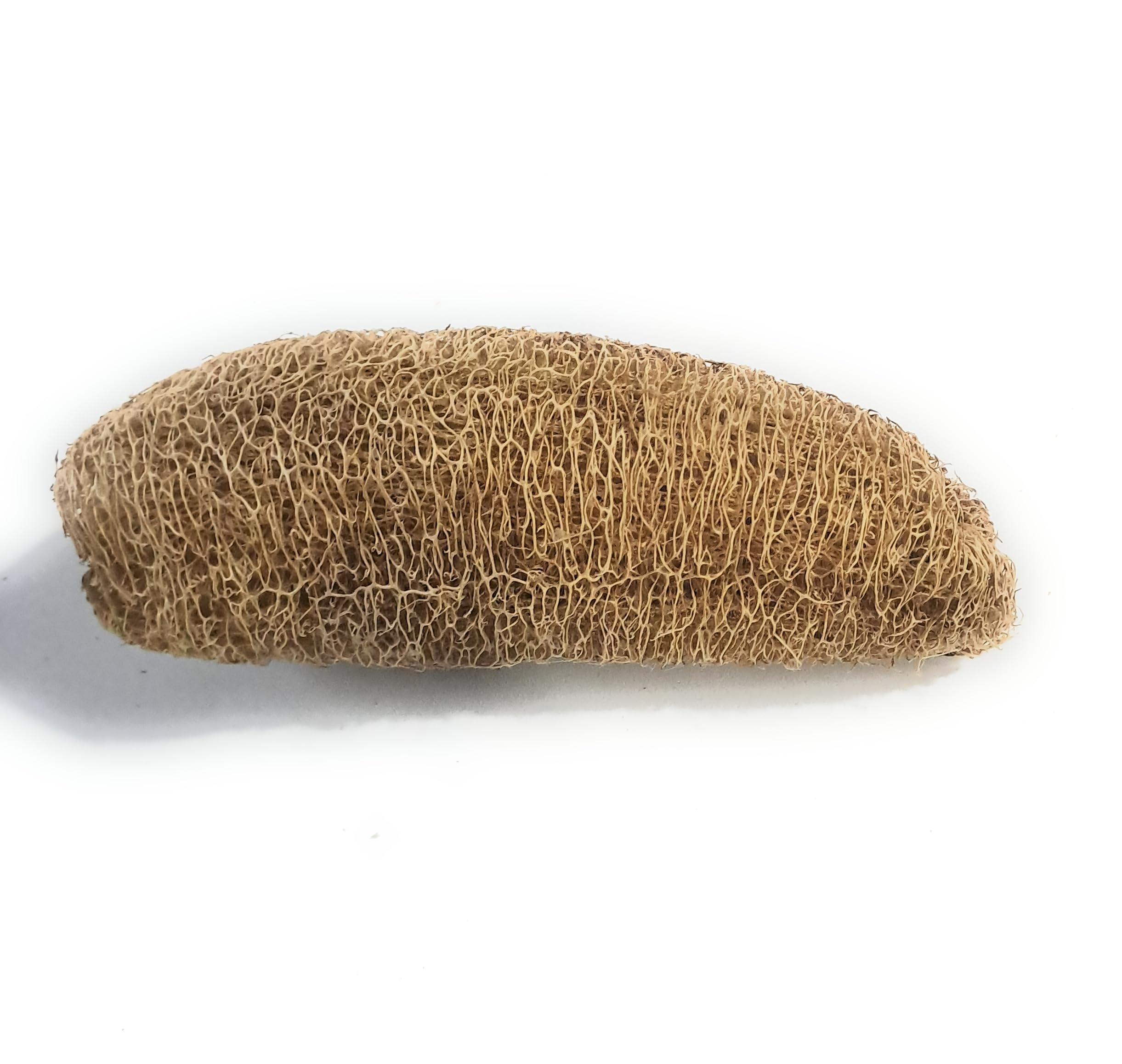 natural loofah sponge, organic bath and shower scrubber, pack of 2