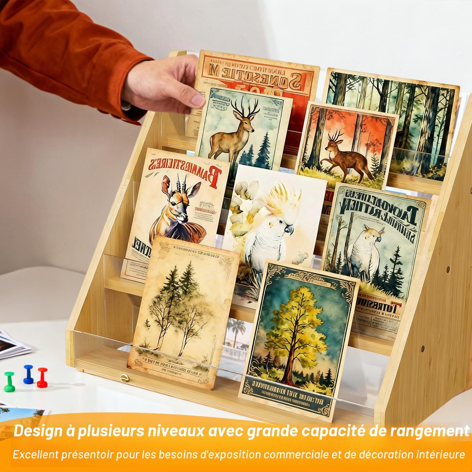 4 Niveau Presentoir Carte Postale en Bambou, Présentoir Support Carte pour Vente au Détail D'Autocollants Livre Visite Bureau Beige