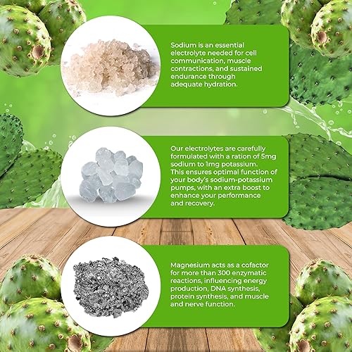 Miniatura 2 de Santa Cruz Paleo Electrolítico en polvo, sabor a tuna y sin azúcar, mezcla de bebida de hidratación con sal rosa del Himalaya, sal marina, glicinato