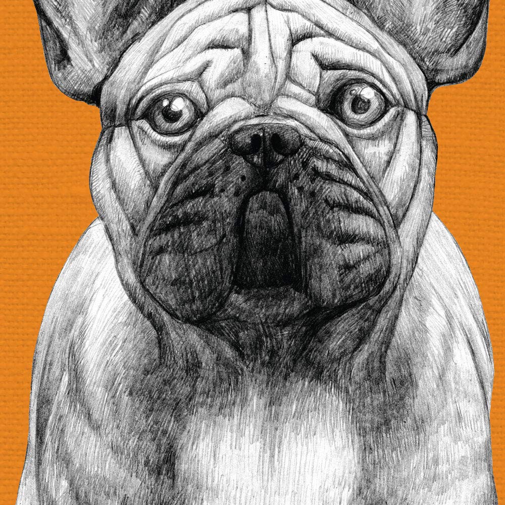 Nacnic Poster Bulldog. Decorative foil dogs. A4 size - Image 2
