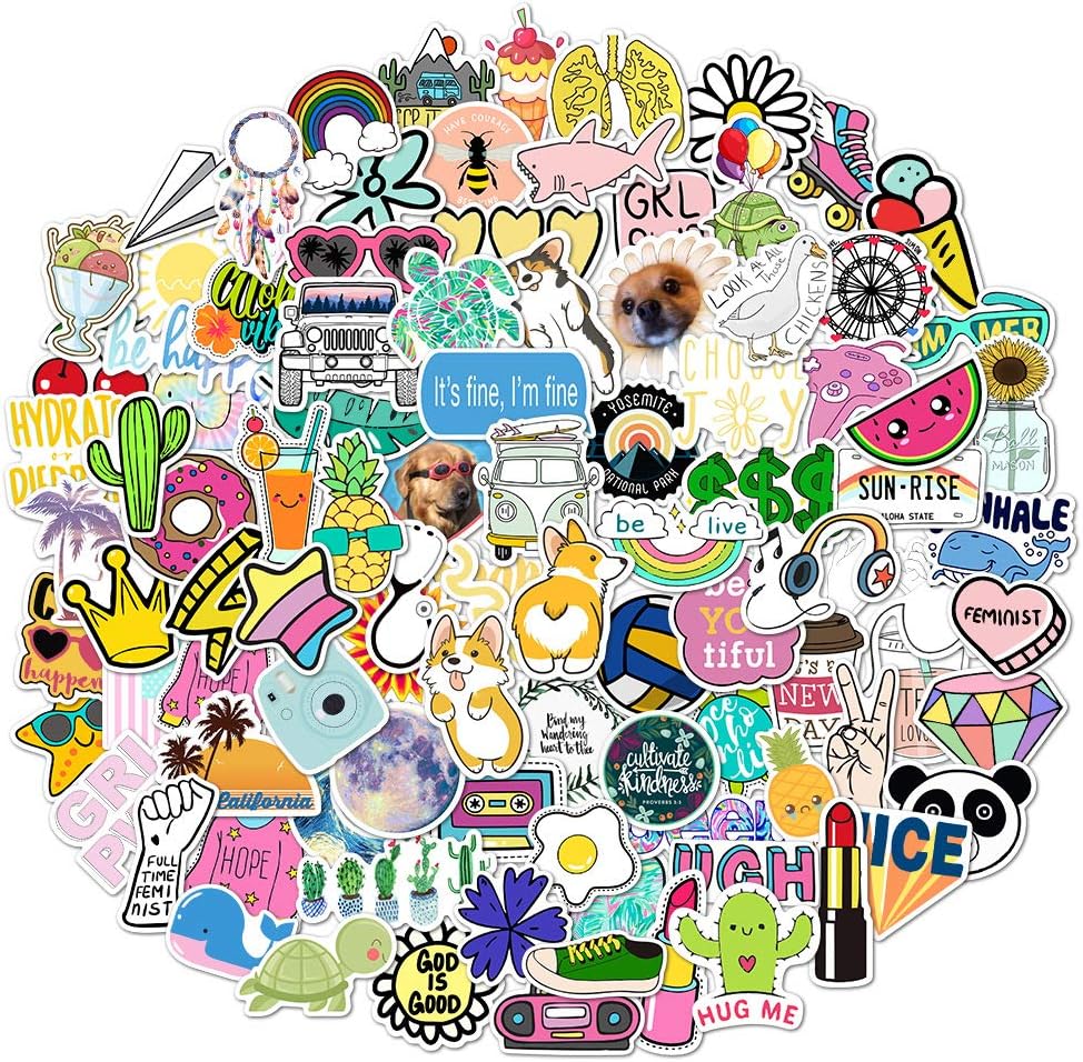 StarFashion 100 VSCO Stickers,Aesthetic Stickers,Cute Stickers,Laptop Stickers,Vinyl stickers,Stickers for Water Bottles,Waterproof stickers,stickers for kids teens,Christmas teen girl gifts,sticker packs
