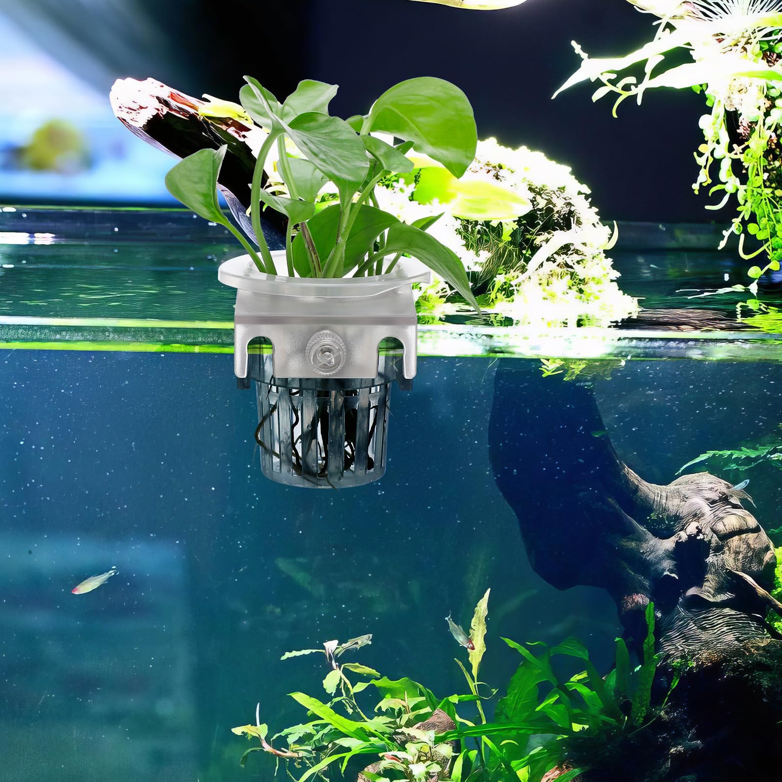FOMIYES 4Pcs Accessories Aquatic Plants Hanging Aquarium Plant Pot Water Plant Basin Hanging Flowerpot Aquarium Plant Pots Aquarium Plant Holder Plant Basket Aquarium Plant Stand