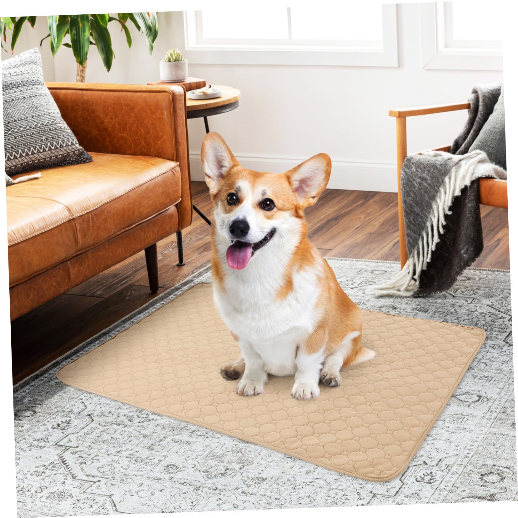 Toddmomy 2 pezzi Tappetini Assorbenti Antiscivolo per Cani e Gatti Lavabili in Lavatrice Protezione per Addestramento e Cuccia Base Antiscivolo per Pavimenti e Superfici