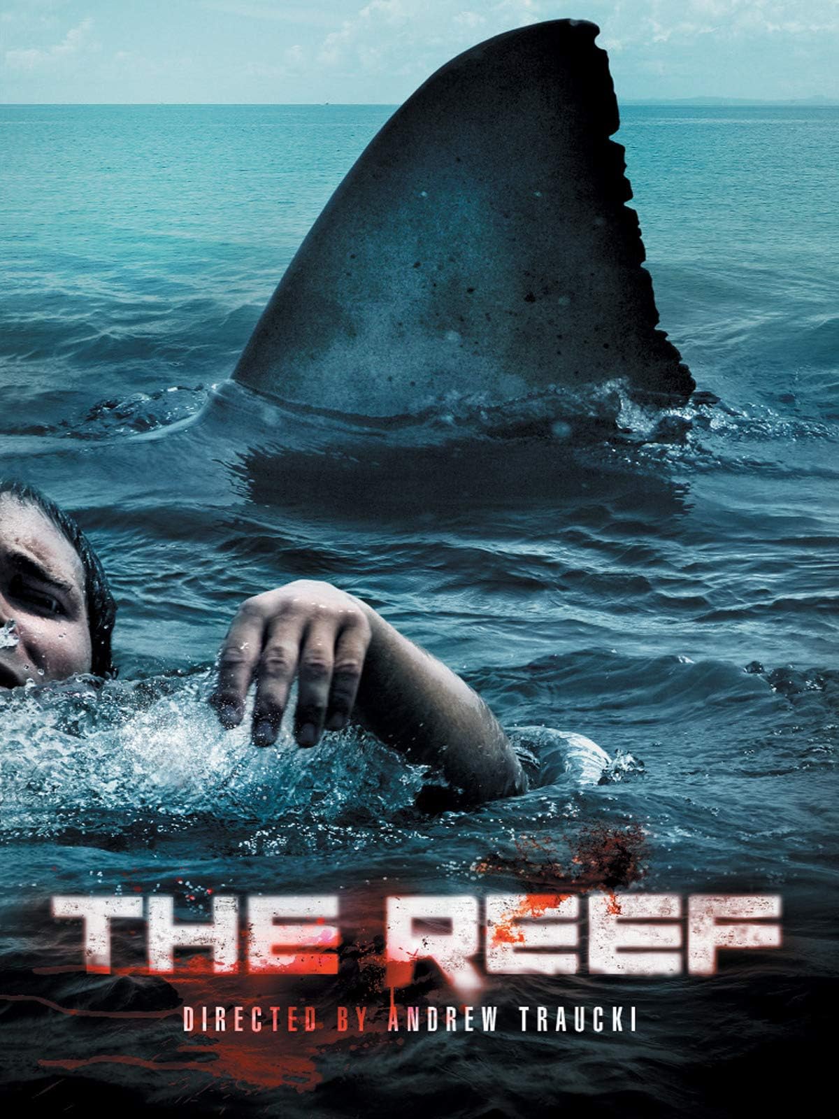 Damian Walshe-HowlingThe Reef