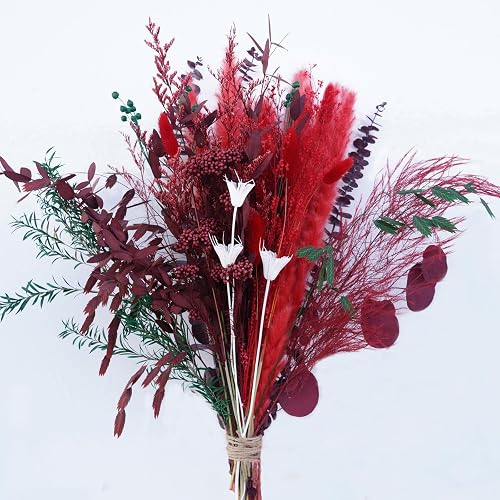 Burgundy Red Pampas Grass Dried Flower Bouquet, 17" Boho Arrangement Millet Flower & Eucalyptus Mixed Natural Dried Bouque, Wedding Centerpiece & Home Bedroom Decor