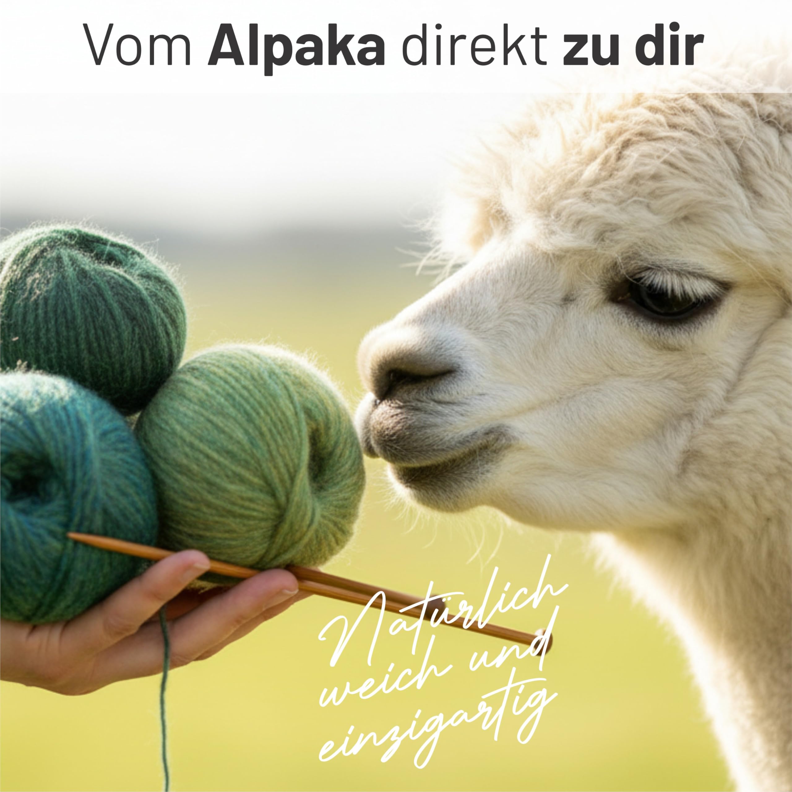 HANSA-FARM |Alpawool Baby Alpaca Light 100 DK en juego de 6 – Lana ligera y sin arañazos para tejer y ganchillo – HF259 Deep Ocean Heather