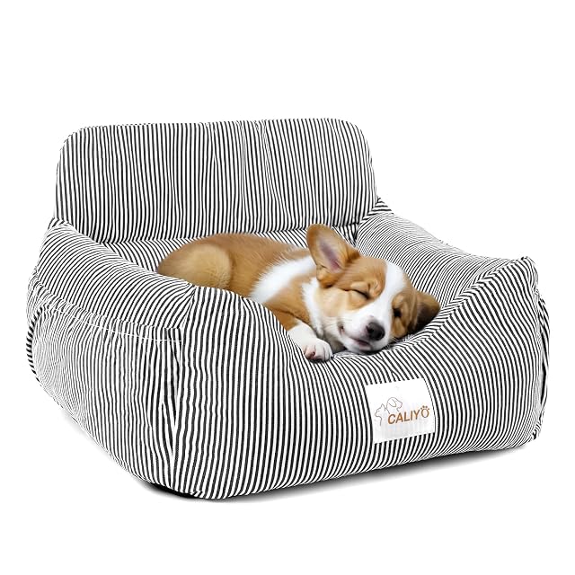 CALIYO Asiento de Coche para Perros, cinturón de Seguridad