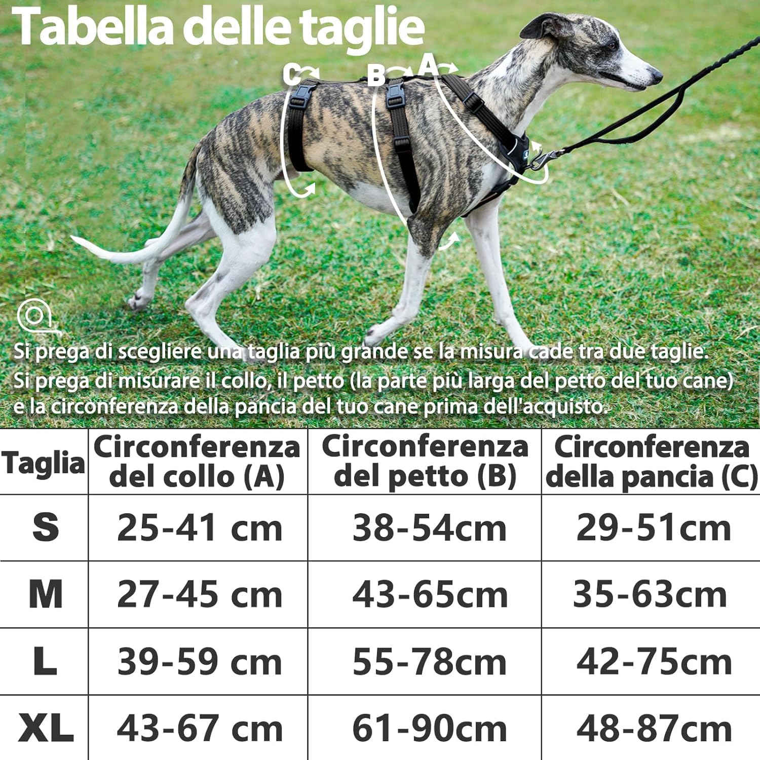 Paworld Pettorina Antifuga Cane, Pettorina Cane Taglia Media, Regolabile, Traspirante, Senza Soffocamenti, Allenamento alla Camminata (Nero,M)
