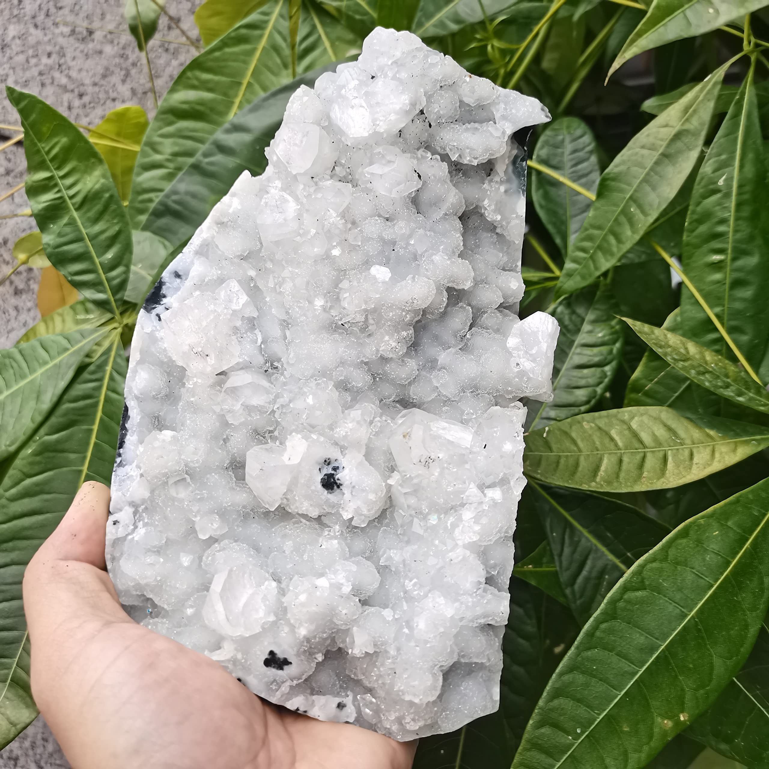 Amazon.co.jp: 天然水晶 魚眼石 鉱物標本石 NaturalReiki 装飾 水晶石