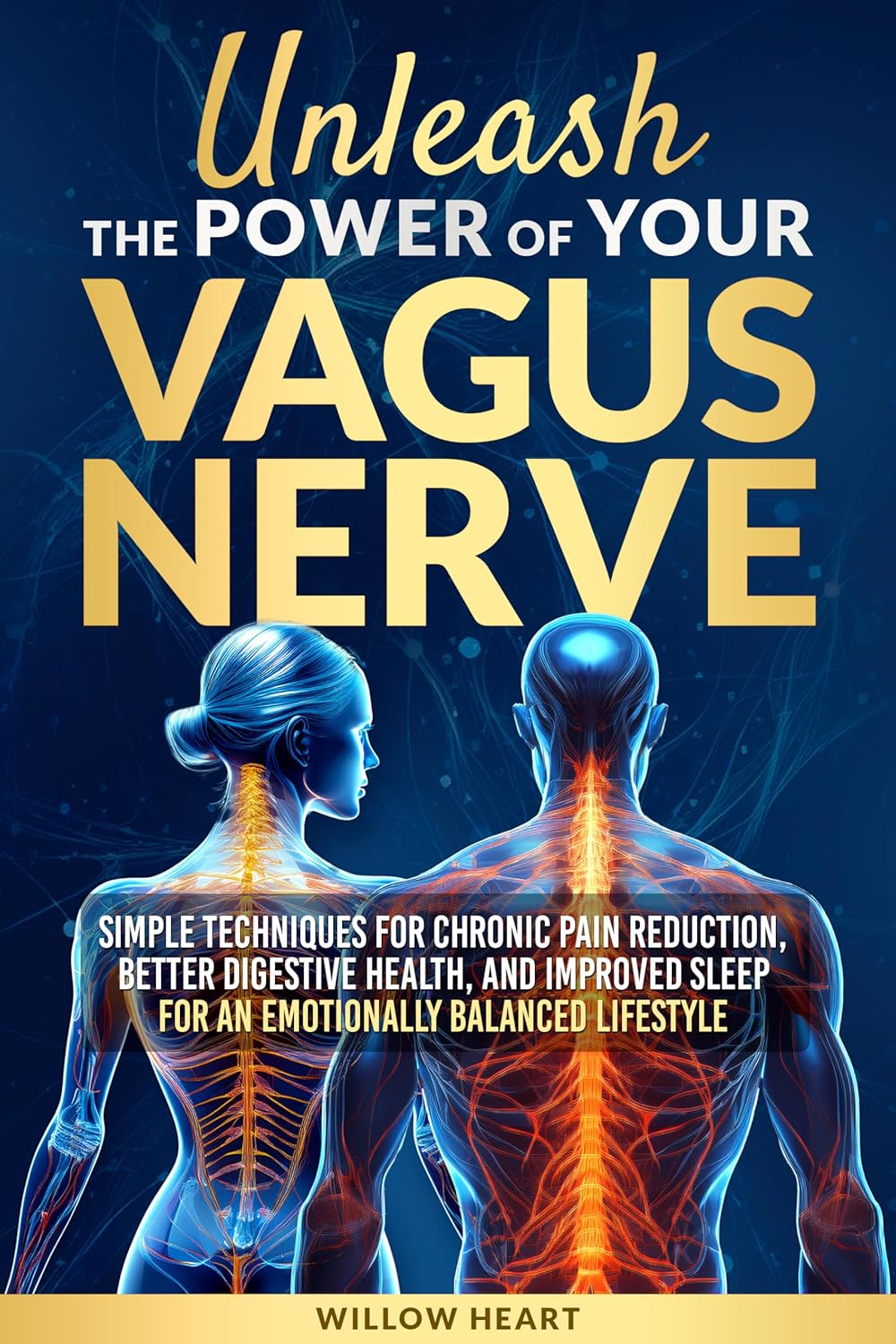 Unleash the Power of Your Vagus Nerve Simple techniques for chronic