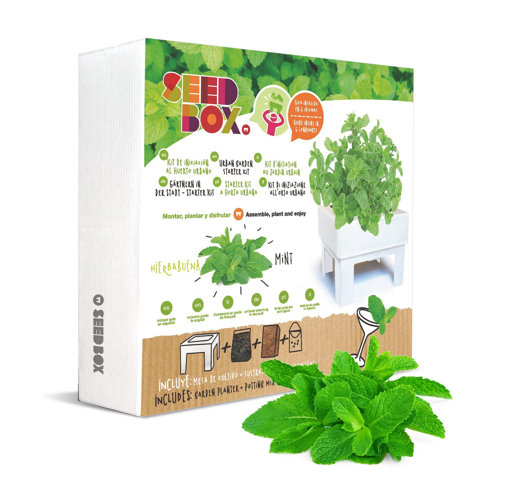 SeedBox SBCUHB-Hierba Buena: Amazon.es: Jardín