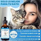 Ver la foto 4