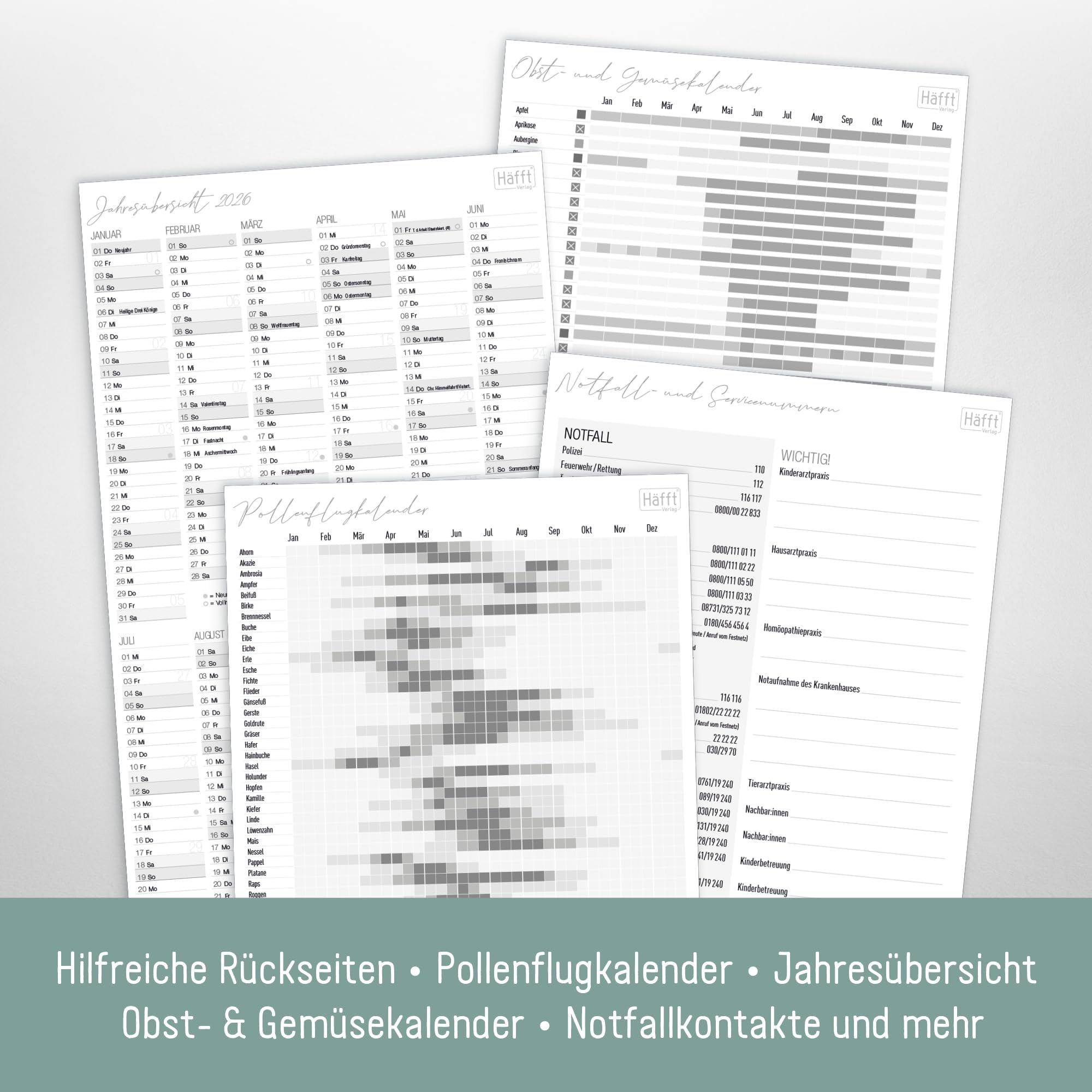 Familienplaner 2025: Termine planen & Erinnerungen bewahren - Ein Kalender, der zum Familienschatz wird | Familienkalender. Family-Timer als Wochenplaner für die Tasche : Vliet, Elma van