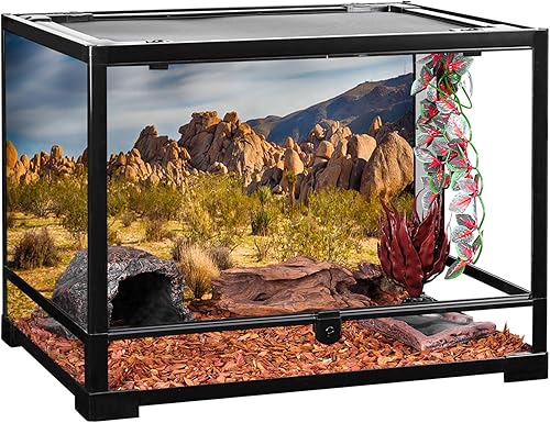 Miniatura 4 de YongFoto Fondo de fotografía de poliéster de 10 x 5 pies con diseño de árbol Joshua Parque Nacional, piedras de valle, cactus, arbusto, arbusto,