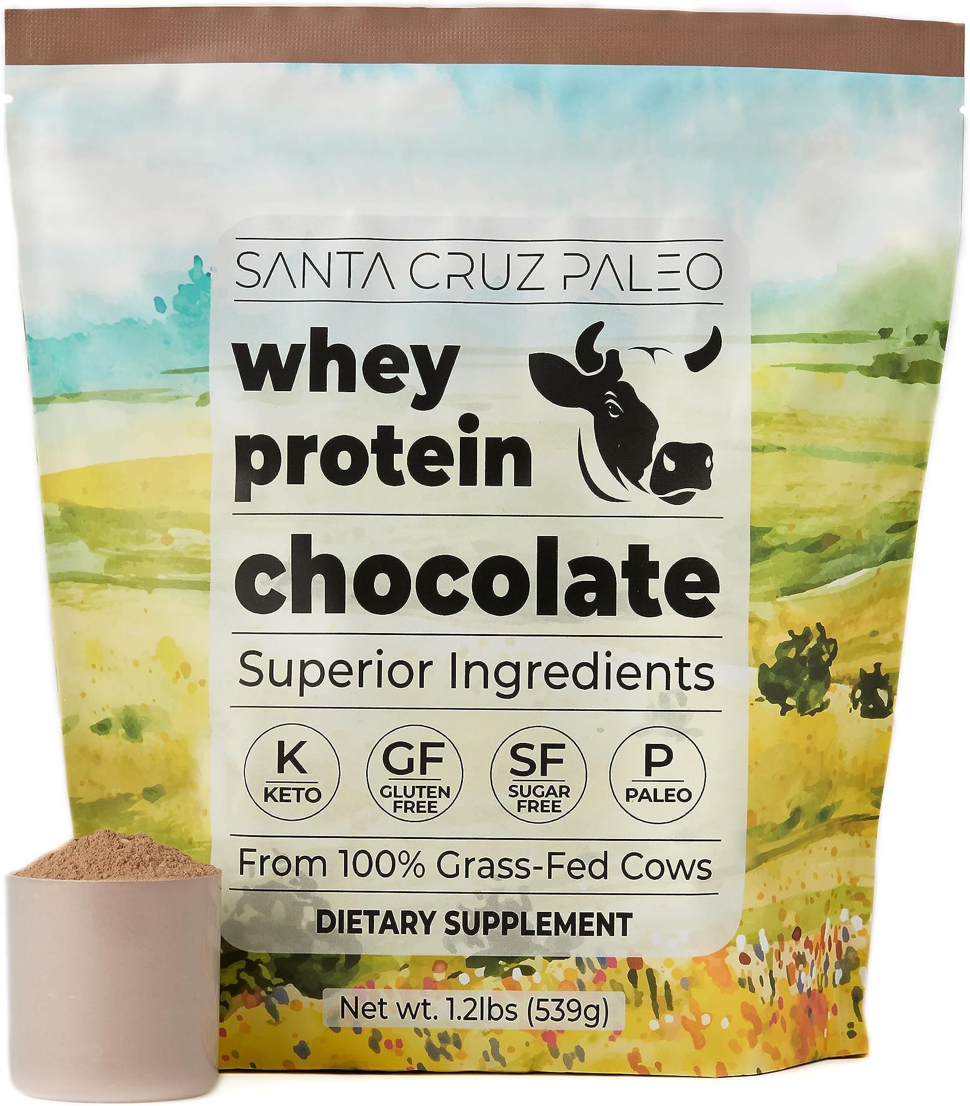 Whey Protein Powder, Chocolate Flavor, 20 G Grass Fed Whey Protein Isolate Per Serving, Gluten Free, Paleo & Keto Friendly, No Sugar Added, Protein Shake Mix, 20 Servings, 1.2 lb Bag