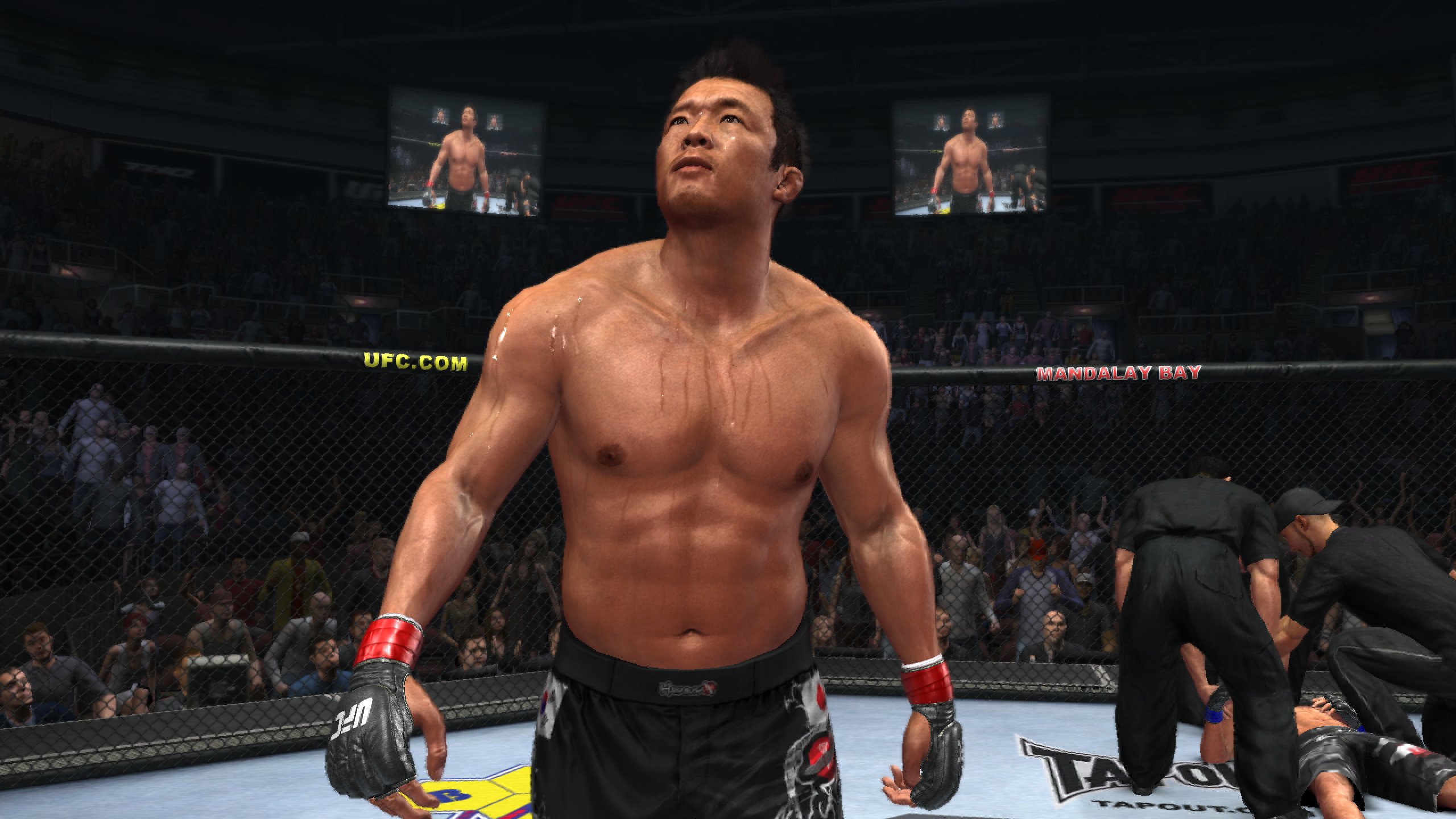 THQ UFC Undisputed 2010