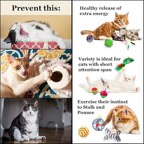 Miniatura 4 de CoCoo - Paquete variado de juguetes para hurones y gatos, juego de actividades de bolas de Mylar, juguetes para masticar, bolsas de hierba gatera,