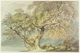 ARTTLBBS Famous Painting Picture Artwork Poster Painting a Great Tree by Mallord William Turner Portrait Artwork for Home Decor 60x90cm