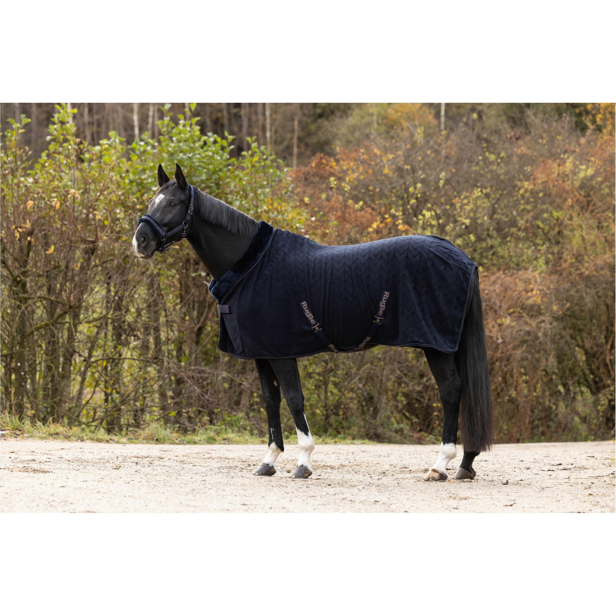 Covalliero - Fleecedecke | Pferde Abschwitzdecke | Transportdecke mit Brustschnalle, Schweifriemen & Kreuzgurten | super weich & atmungsaktiv | Pferdedecke in Dark Navy | Größe 125cm