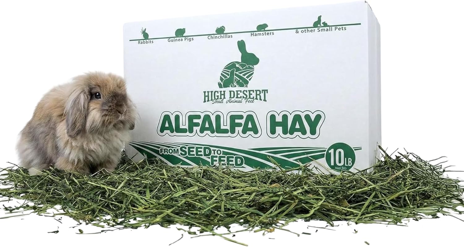 High Desert Alfalfa Hay, Protein Rich Soft Leaf Food for Young Growing Animals, Natural Rabbit Food and Guinea Pig Hay, Supports Digestive Health, Small Pet Supplies, Fresh Hand Packed 10 Lb Box
