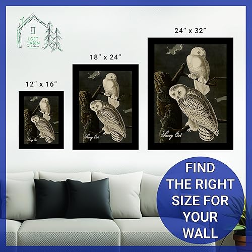 Vista 33 de Towee Bunting by James Audubon - Marco biselado negro de 12 x 16 pulgadas, decoración artística enmarcada para pared, reproducción de pinturas
