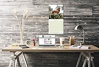 Vista 1353 de Razas de Perros 2017