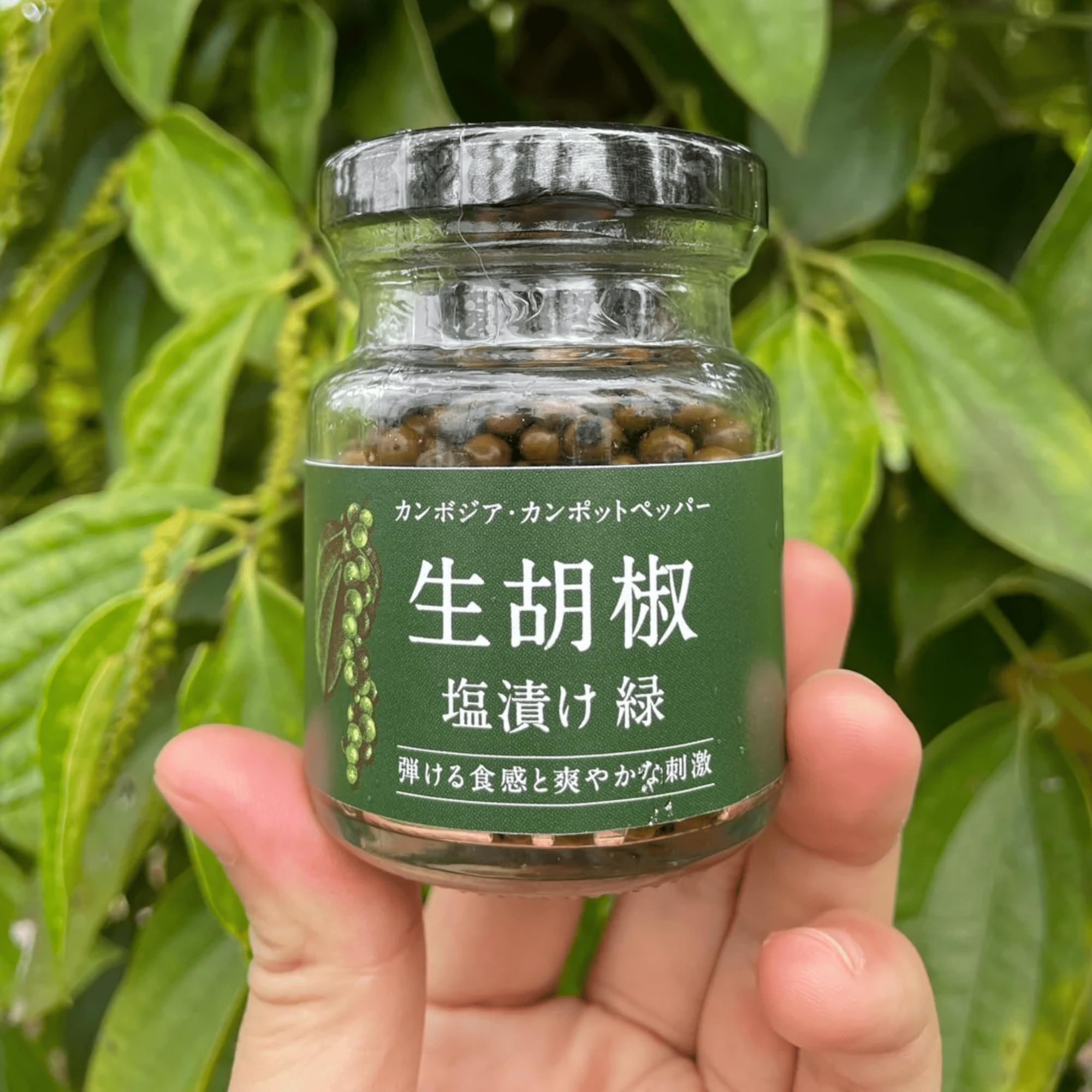 Amazon.co.jp: S.E.A.T.S Farm カンポットペッパー 生胡椒の塩漬け (緑