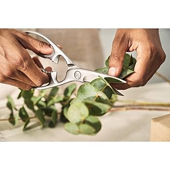ZWILLING TWIN Select 料理バサミ 青 Zwilling | ツヴィリング からのZwilling Twin Select 一般