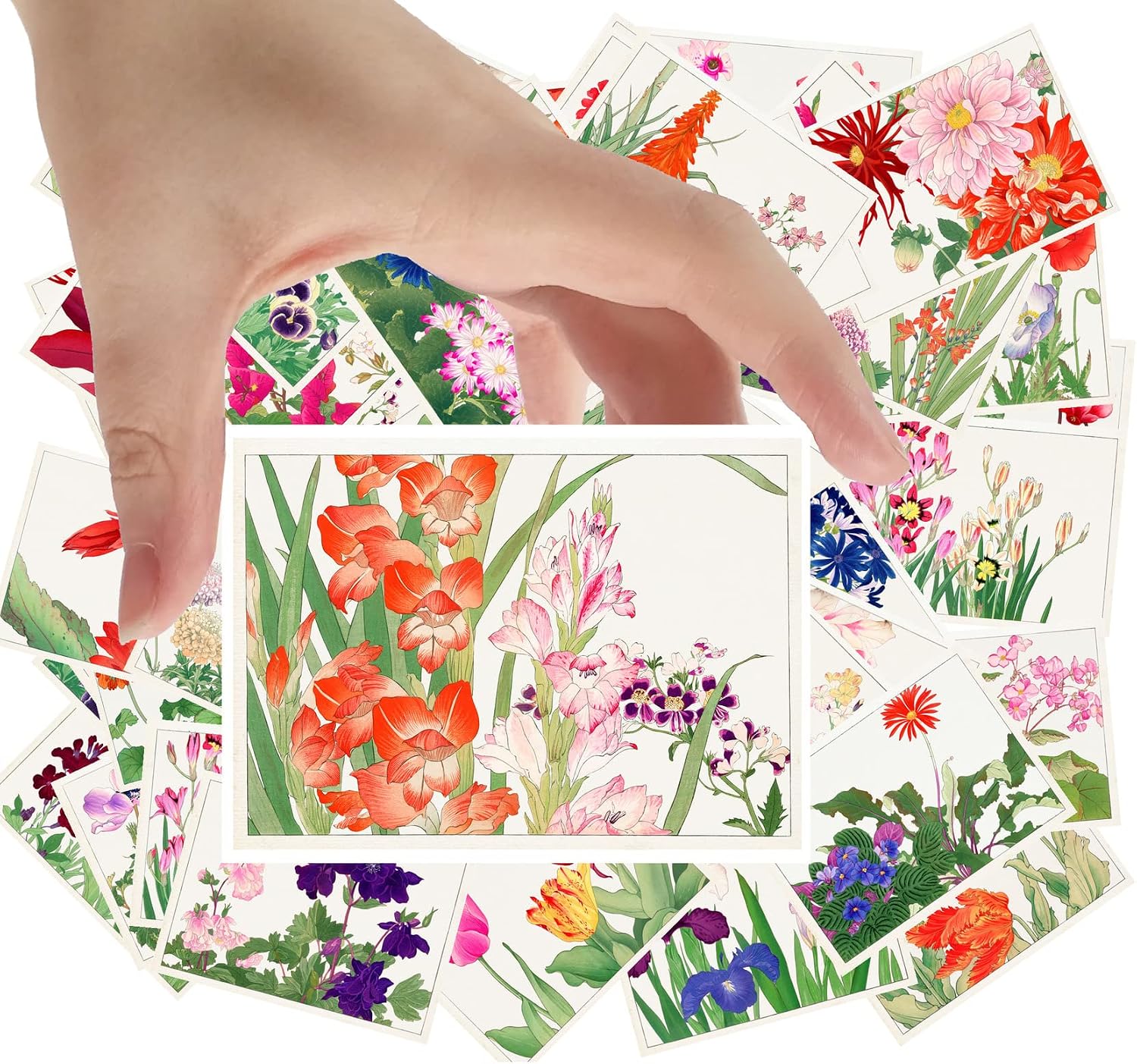 Large Stickers 24 pcs (2.5"x3.5" Each) Beautiful Bright Flowers Outlined with Gold Details Vintage Postcards Retro Greeting Card Book Illustration Reprint