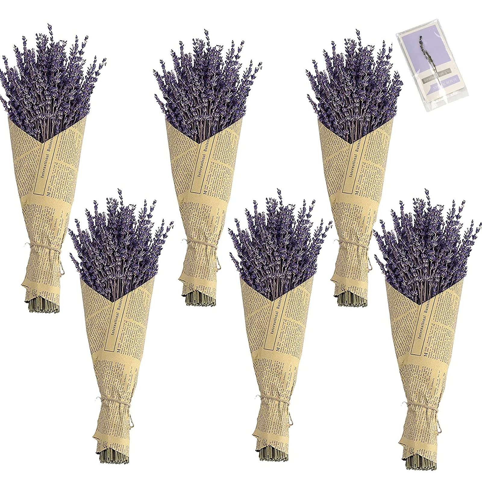 TOMOON Natural Dried Lavender Flowers Bunch(6 Pack)-Real Dried Flowers -Perfect for Home Decoration, Wedding, Home Fragrance, Handmade Soap Flower,Photo Prop