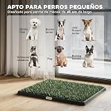 Ver la foto 6