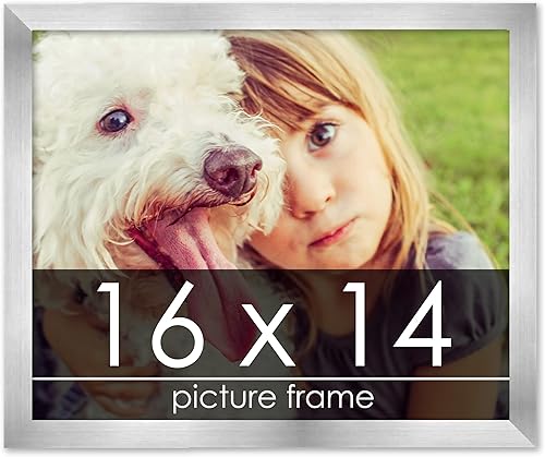 Miniatura 85 de Marco de 28 x 36 pulgadas de madera de peltre plateado con plexiglás acrílico UV, parte trasera de tablero de espuma y accesorios incluidos