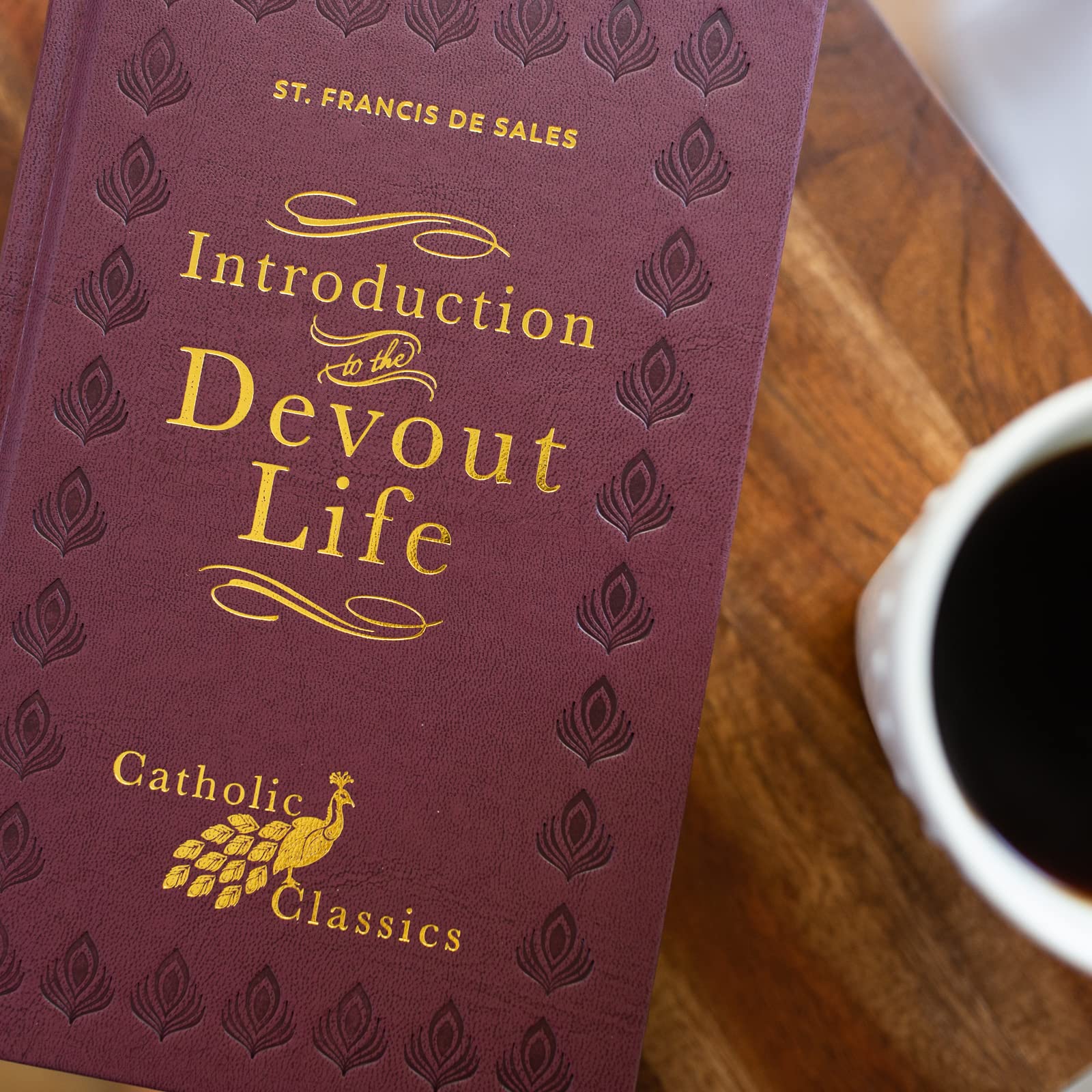 Introduction to the Devout Life (Catholic Classics) - Image 5
