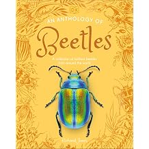 An Anthology of Beetles A Collection of Brilliant Beetles from Around the World DK Little Anthologies