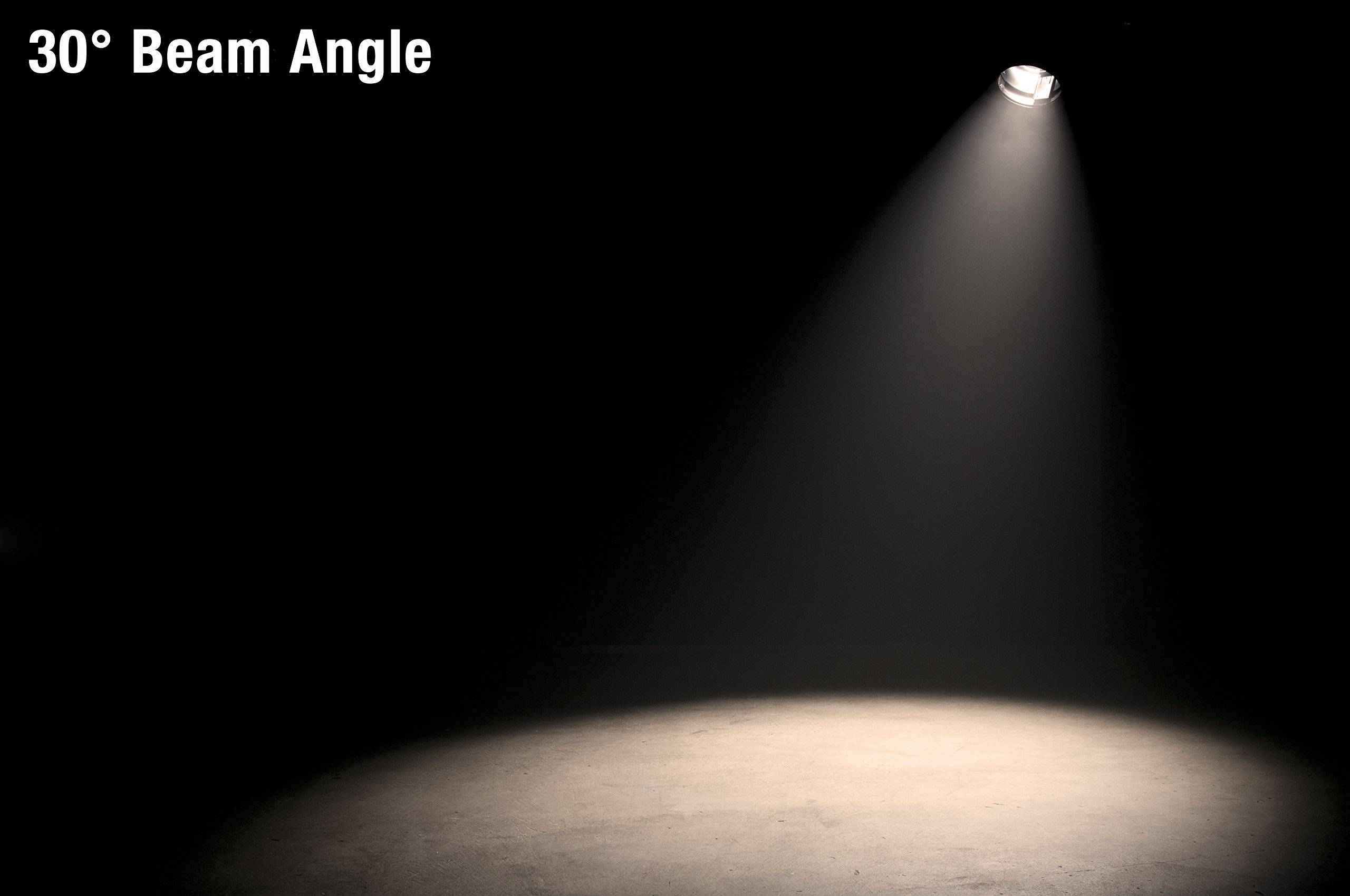 Amazon.co.jp: AMERICAN DJ (アメリカンディージェイ) 100Wワーム