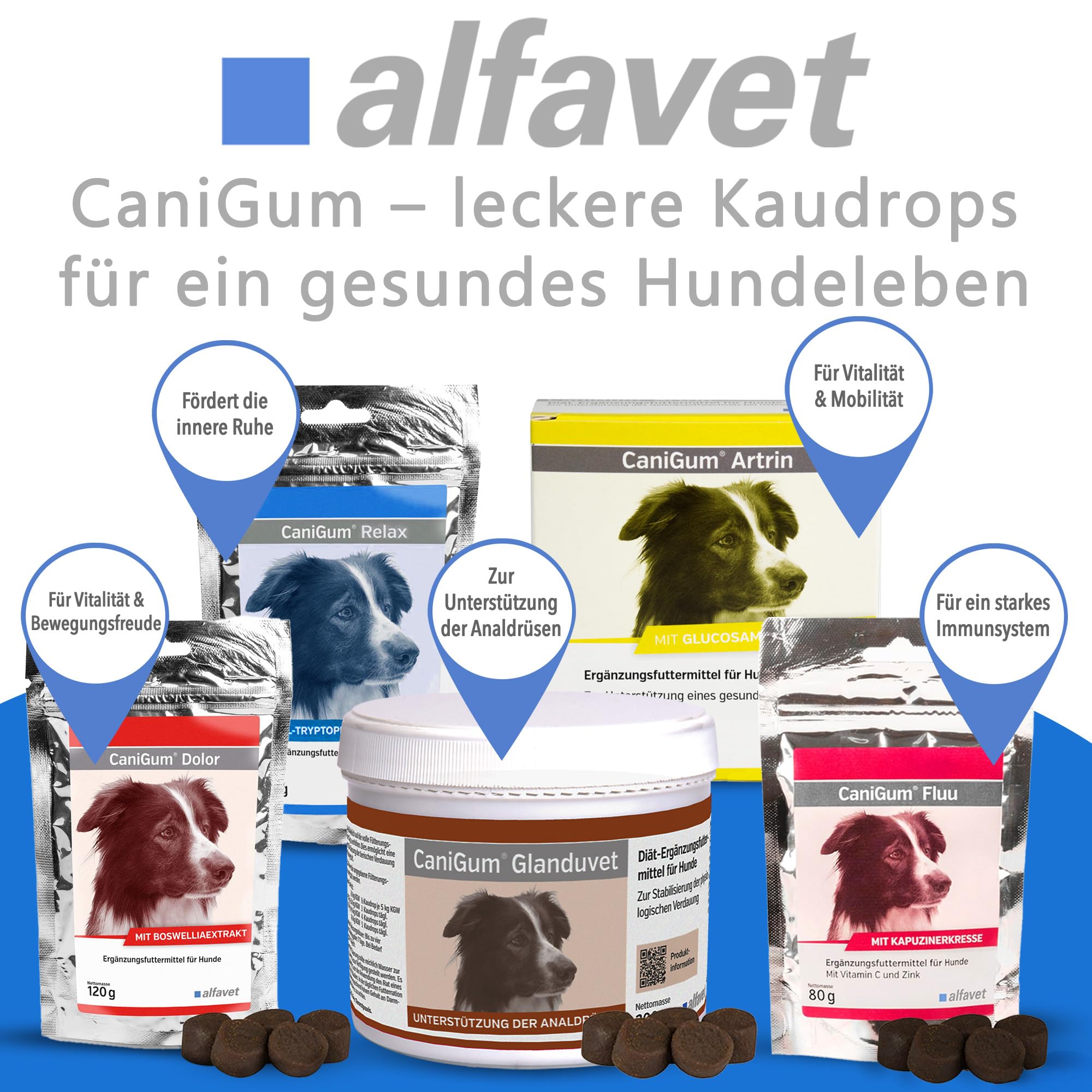 Alfavet CaniGum Relax, Ergänzungsfuttermittel für Hunde mit L-Tryptophan und B-Vitaminen, Beruhigung und Nervenstärke, 120g Kaudrops