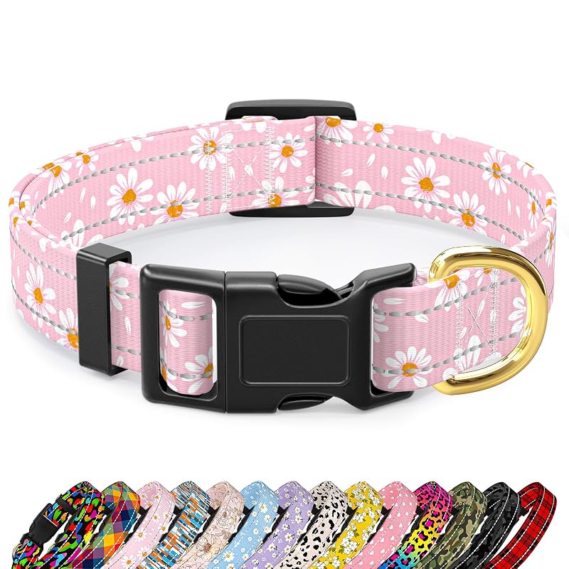 Coleira refletiva ajustável para cães médios TMOODEL Pink Daisy, tamanho M, 35,56–50,8 cm x 2,54 cm