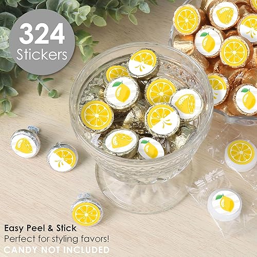 Miniatura 2 de Big Dot of Happiness So Fresh - Pegatinas redondas pequeñas de caramelo para fiesta de limonada de cítricos, etiquetas para recuerdos de fiesta, 324