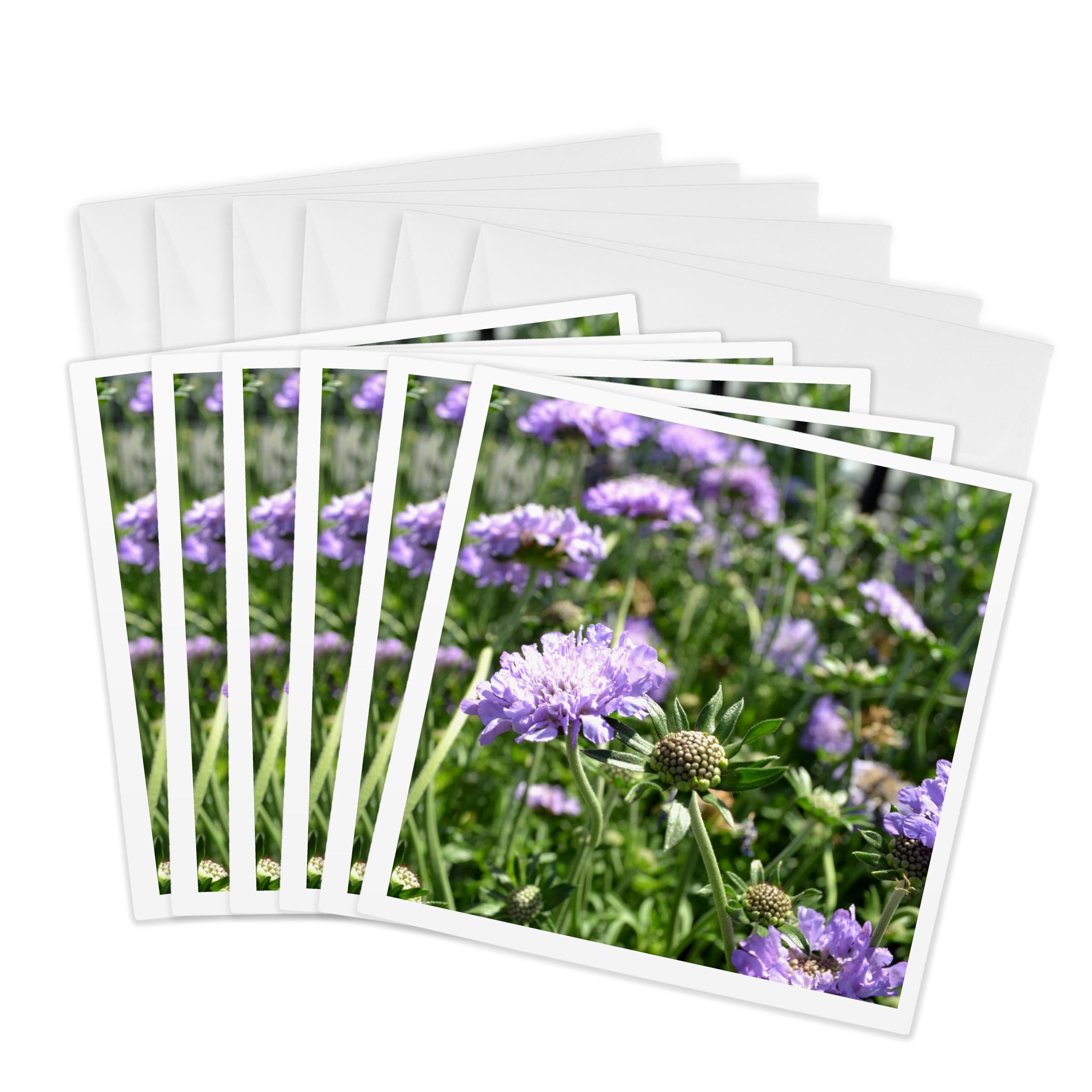 3dRose gc_22739_1 6 x 6-Inch "Lavender Flowers Inspiration" Greeting Card (Pack of 6)