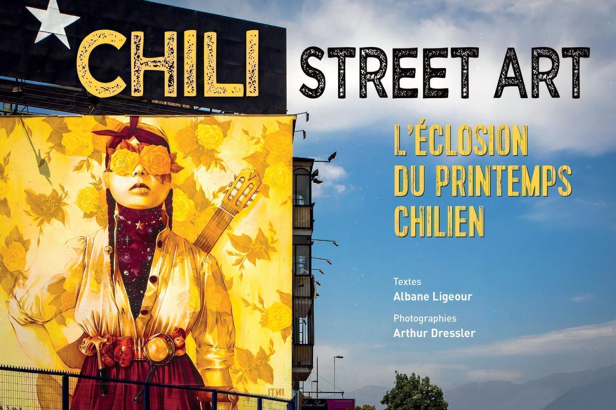 Chili street art l'éclosion du printemps chilien pour créer une ambiance loft industriel