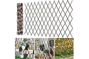 Willow Trellis Lattice Fence: Expandable & Decorative Garden Support for Climbing Plants