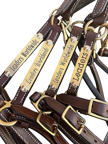 Leaders - Cabestro de cuero de 34 pulgadas para caballos con placa de nombre grabada personalizada, cuero marrón con herrajes de latón macizo