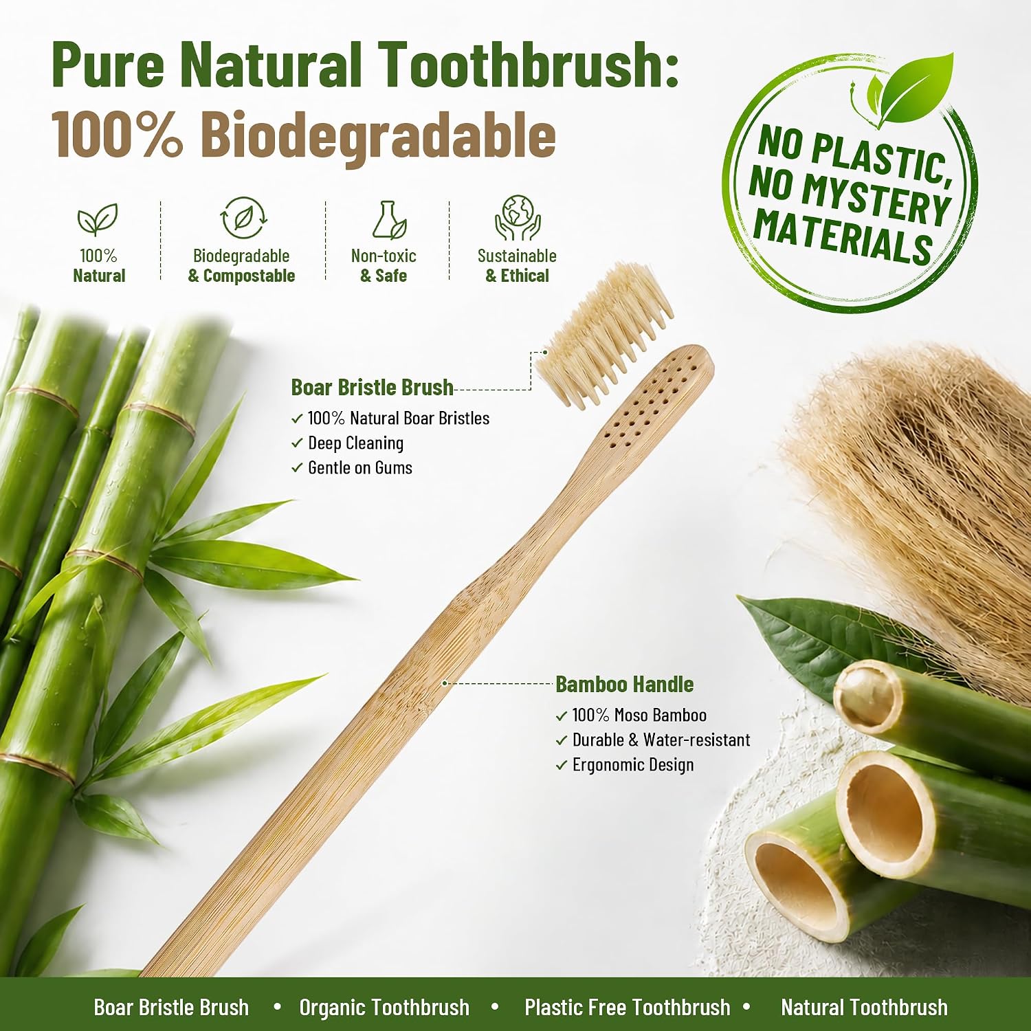 DEBETOOL 4-Pack Natural Boar Bristle Toothbrush for Adults image 5