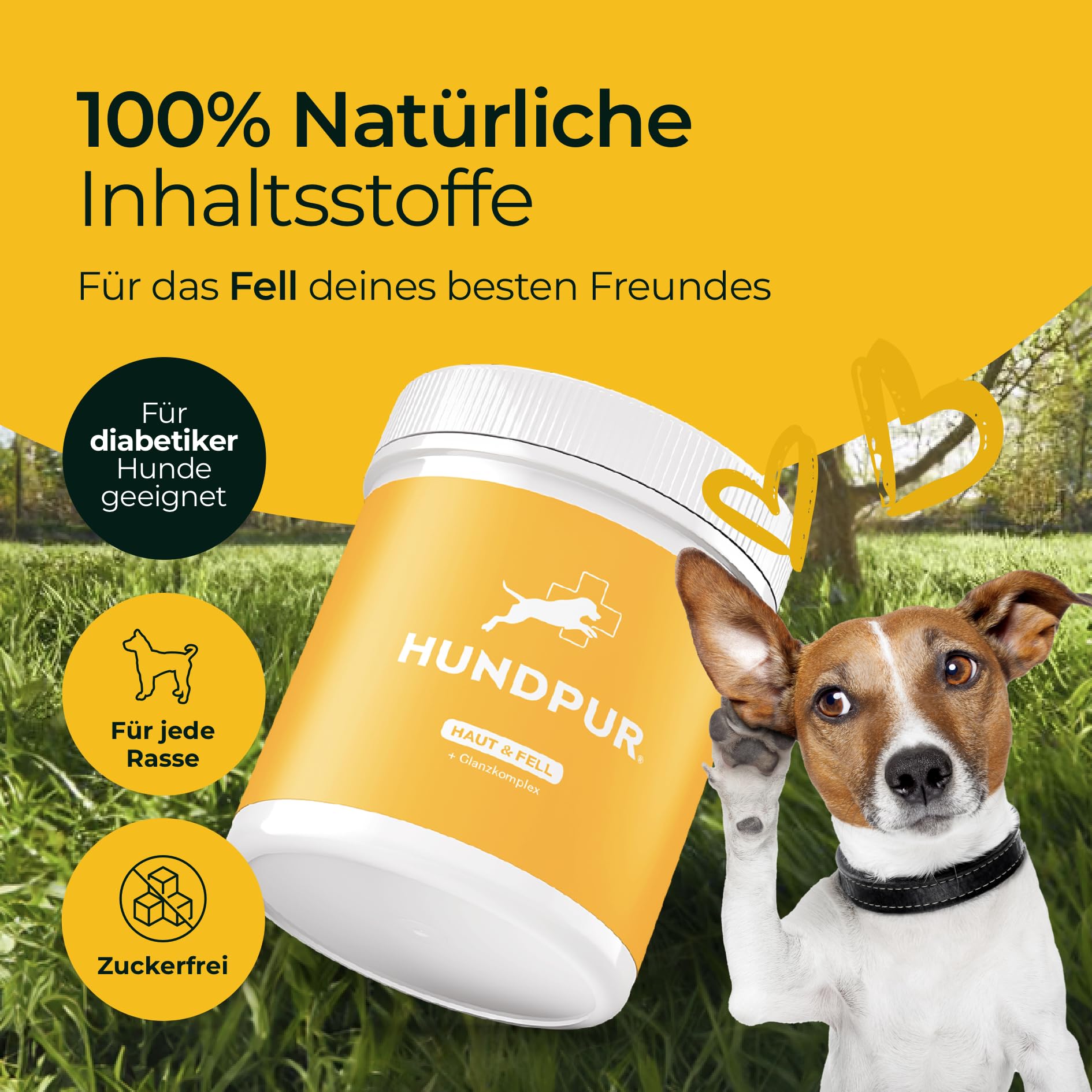 Haut & Fell 300 g - Natürliche Fellpflege Pellets für Hunde - Mit Biotin & Zink - Ideal bei Fellwechsel - Für Gesunde Haut - Made in Germany